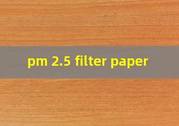 pm 2.5 filter paper